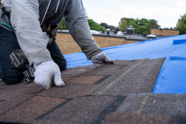 Best Roof Leak Repair  in Remerton, GA